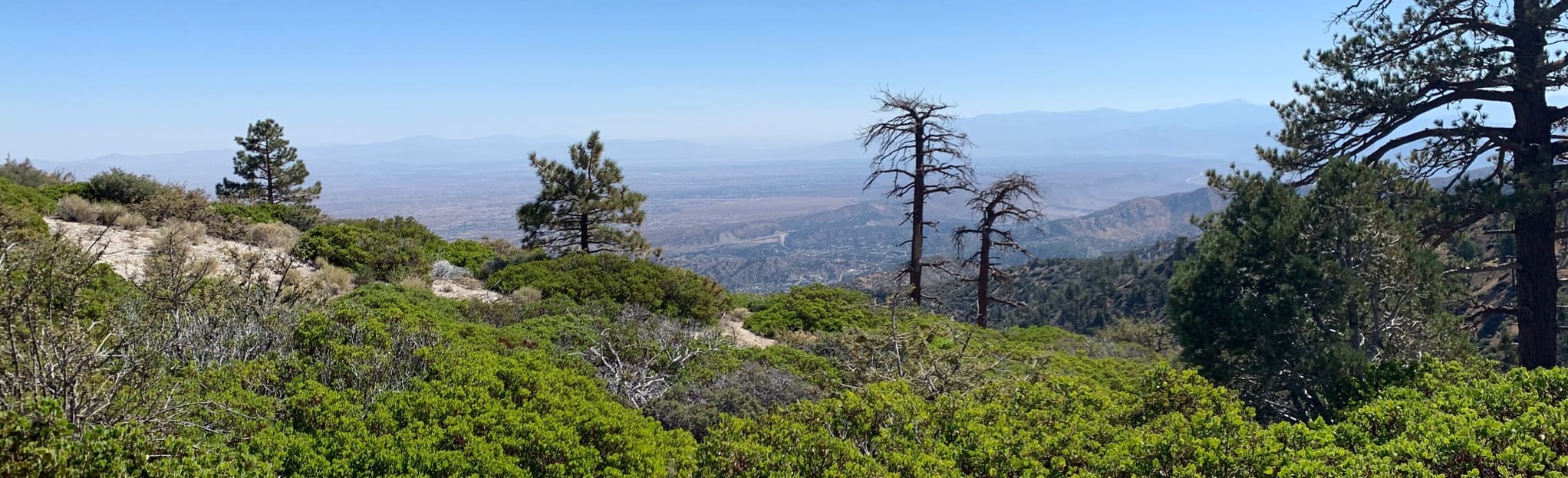 Table Mountain Trail (4N21) 92 Reviews, Map California AllTrails