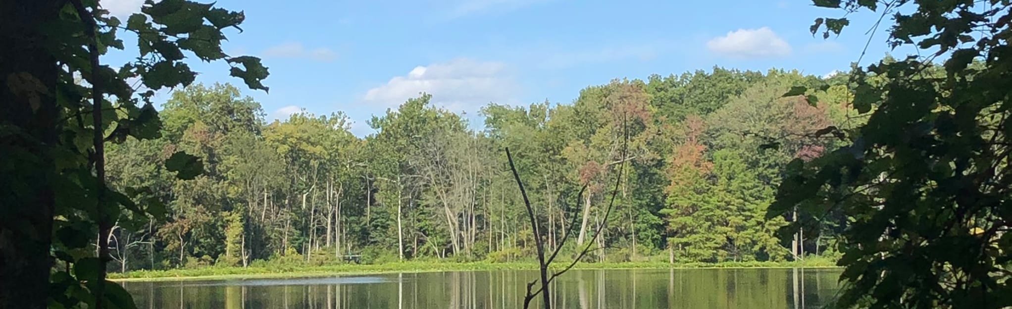 Chain O' Lakes State Park Big Loop 707 foto's Indiana AllTrails