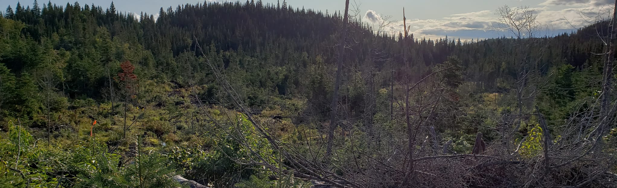 Petit Mont du Lac Bousquet 2 Reviews, Map Quebec, Canada AllTrails