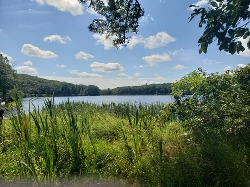 10 Best Hikes and Trails in Harriman State Park | AllTrails