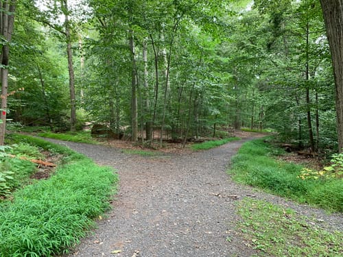 South Mountain Reservation Trail Map Best 10 Trails In South Mountain Reservation | Alltrails