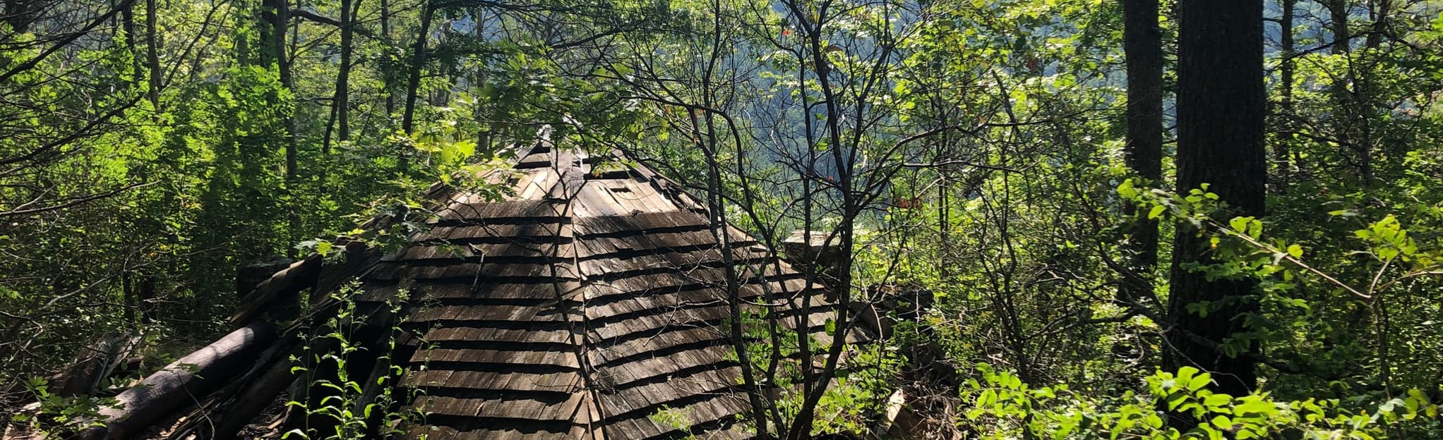 Clifftop Vista Trail 38 Reviews, Map North Carolina AllTrails