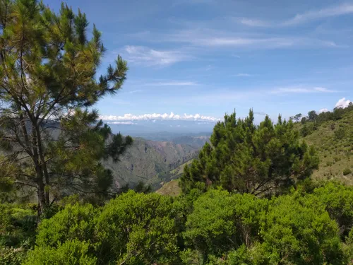 Best Hikes and Trails in José Del Carmen Ramírez National Park | AllTrails