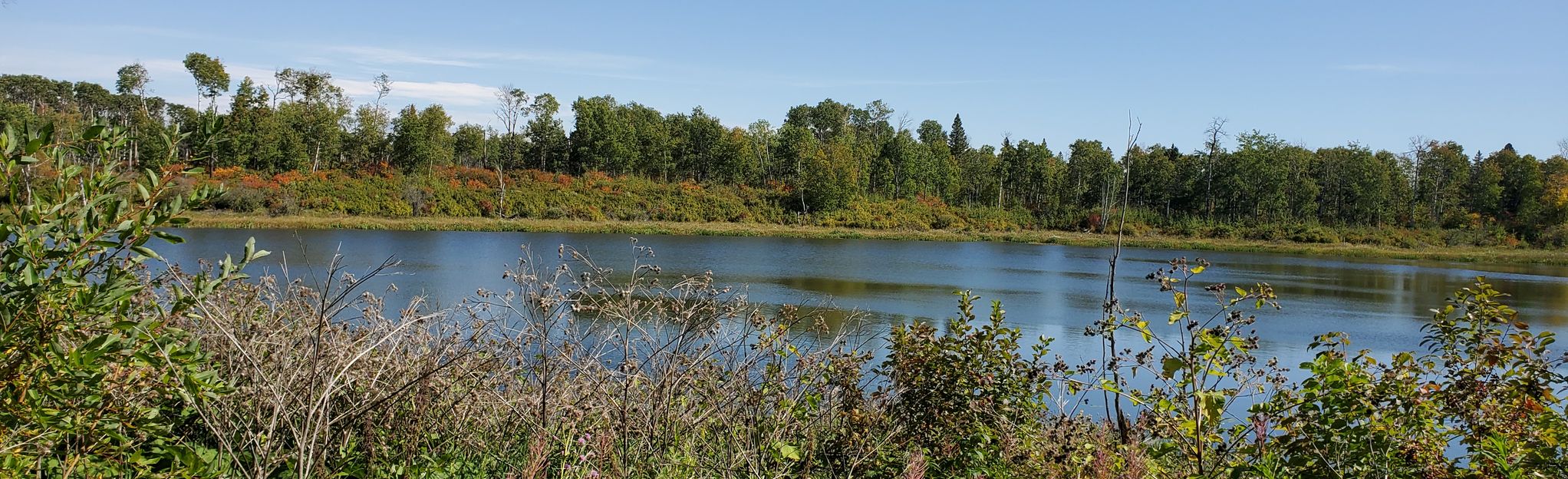 Puddle Lake, Ski Hill, Tamarack and Moose Lake Trail Loop 4 Reviews