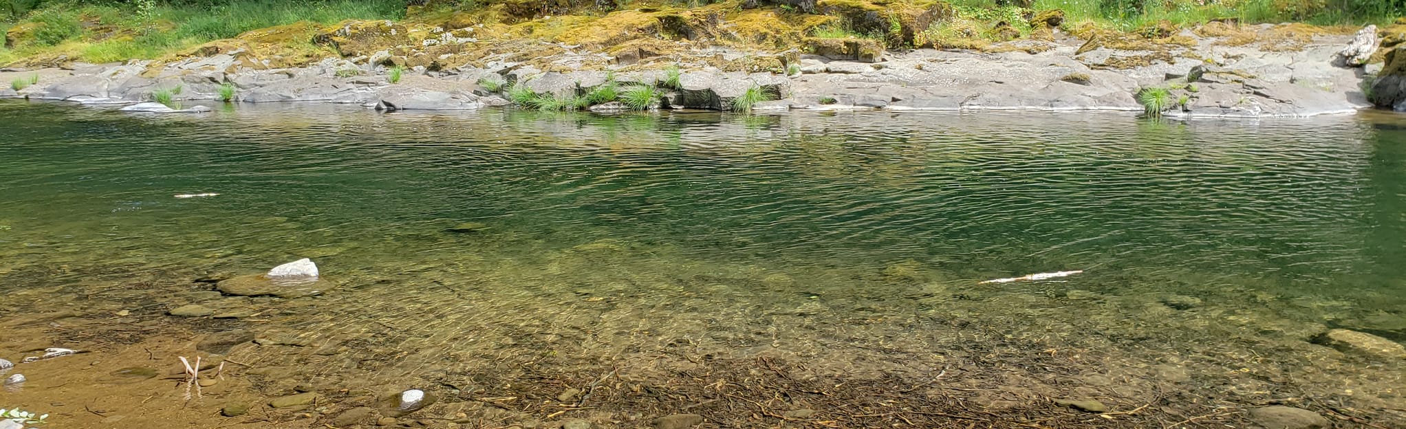 Wilson Falls from Jones Creek Day Use Area 19 Reviews, Map Oregon