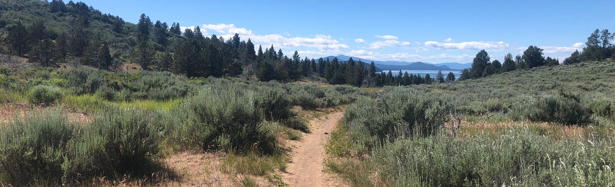 Lower Klamath Basin Trail, Oregon 141 Reviews, Map AllTrails