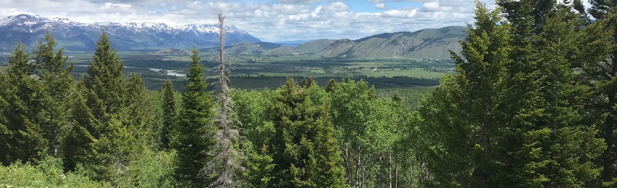 Wally World and Poison Creek Trail Loop: 141 fotos - Wyoming | AllTrails