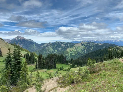 Top hikes cheap olympic national park