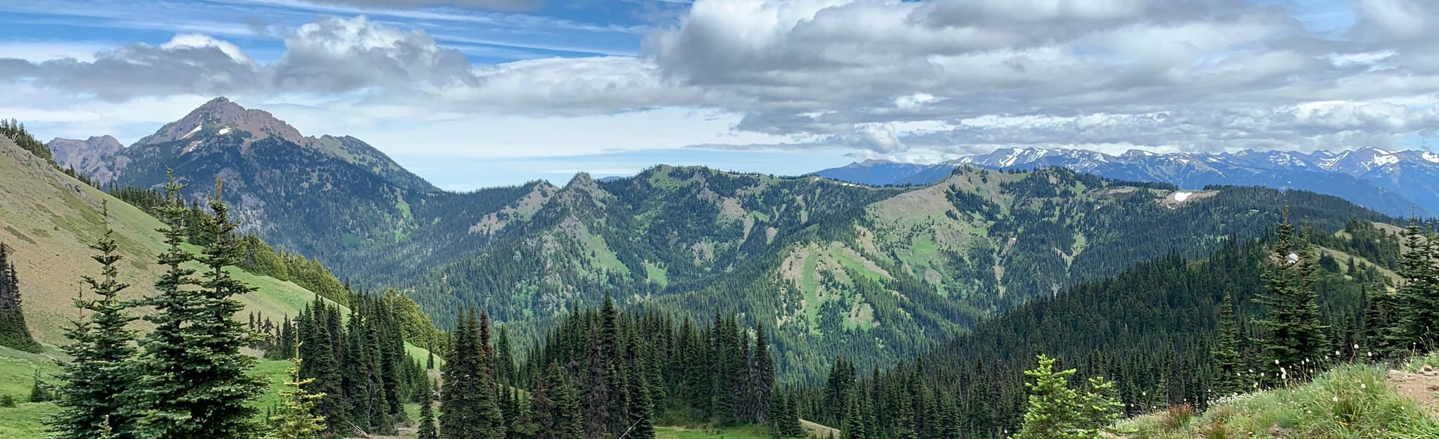 Hurricane Hill via Hurricane Ridge, Washington 5,972 Reviews, Map AllTrails