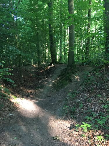 Über die Höhen der Baumberge zur Bruder-Klaus-Kapelle