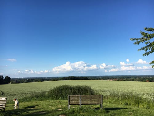 Über die Höhen der Baumberge zur Bruder-Klaus-Kapelle