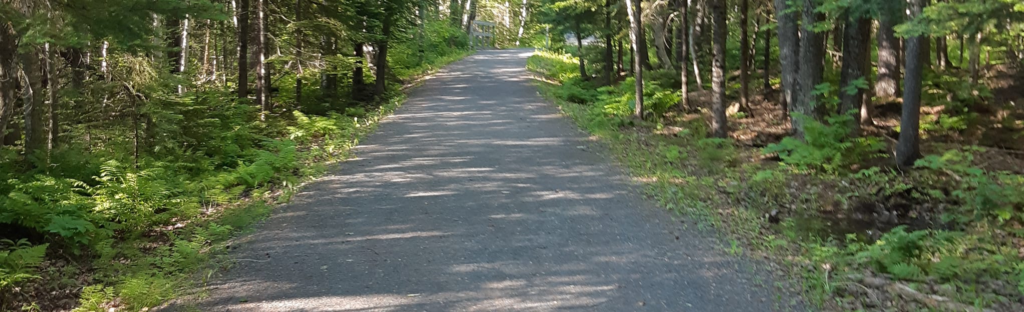 Camp Gagetown Loop 7 Fotos New Brunswick, Kanada AllTrails