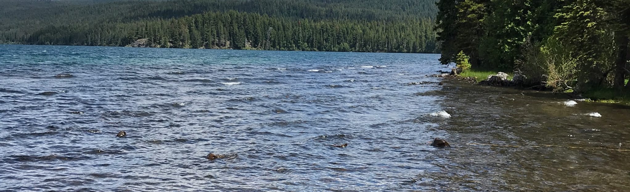 Odell Lake, Oregon 54 Reviews, Map AllTrails