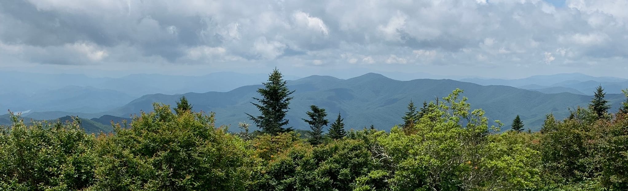 Forney Ridge and Forney Creek Loop: 41 Reviews, Map - North Carolina ...