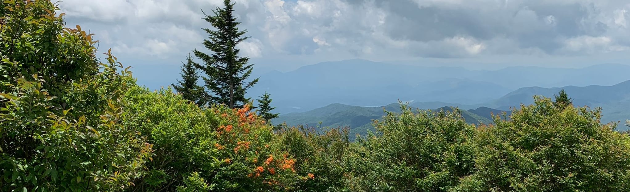 Forney Ridge and Noland Divide Loop Trail: 23 Reviews, Map - North ...