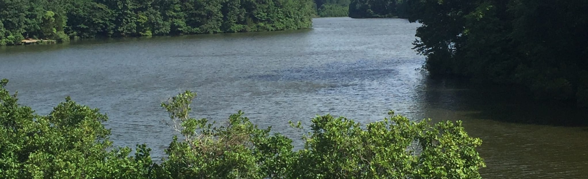 Lake Lynn Trail, North Carolina 975 Reviews, Map AllTrails