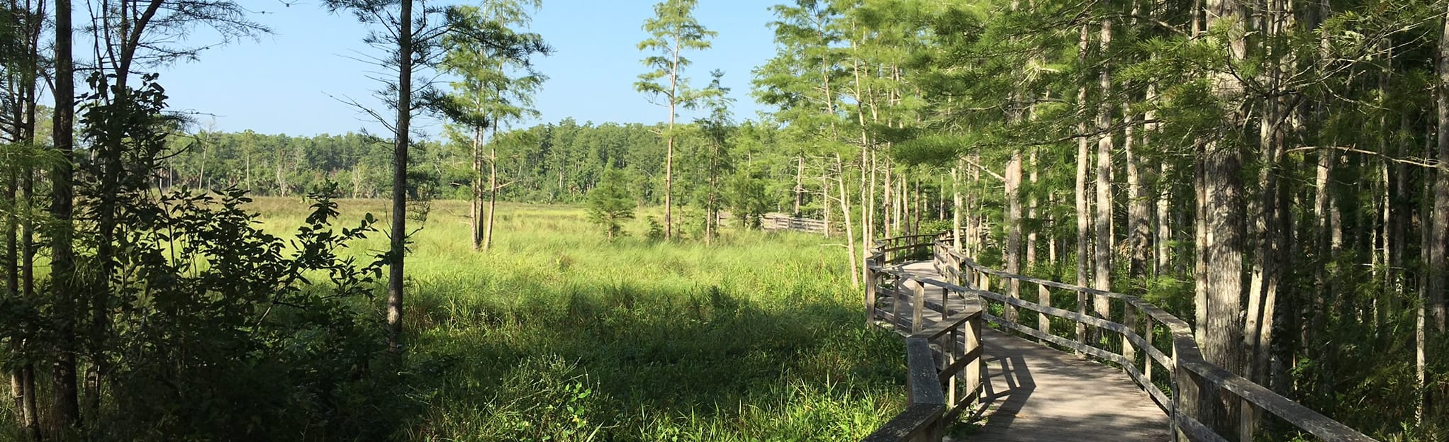 Corkscrew Swamp Sanctuary Trail 692 foto Florida AllTrails