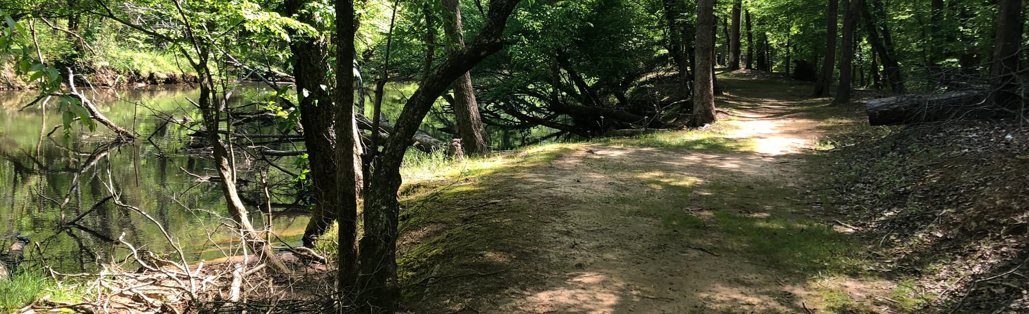 Lake Rabon Park Loop 80 foto's South Carolina AllTrails