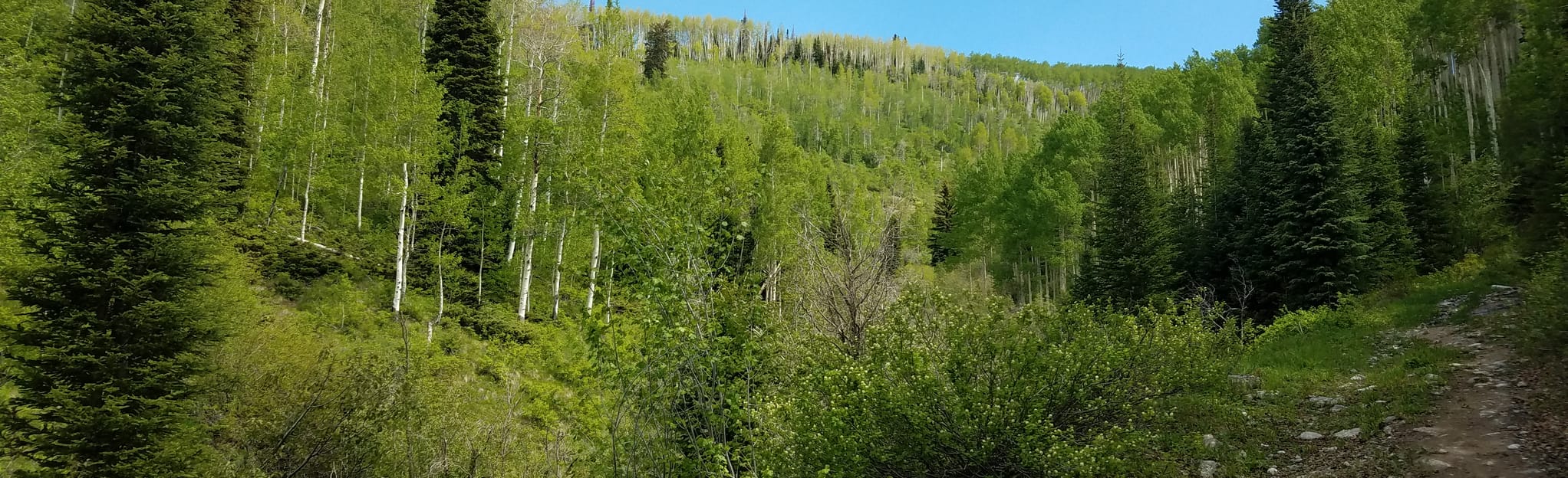 Eiseman Hut Trail 24 Reviews, Map Colorado AllTrails