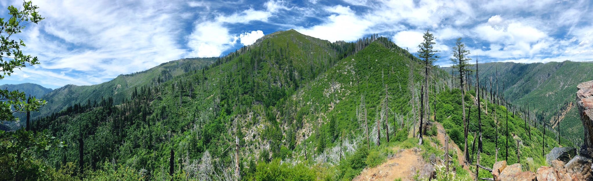 Ben Lomond Trail, California 23 Reviews, Map AllTrails