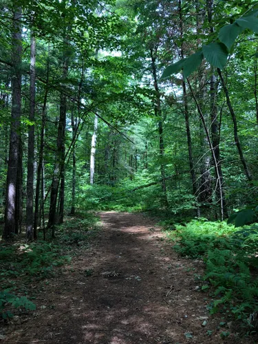 10 Best Trails and Hikes in Ballston Spa | AllTrails