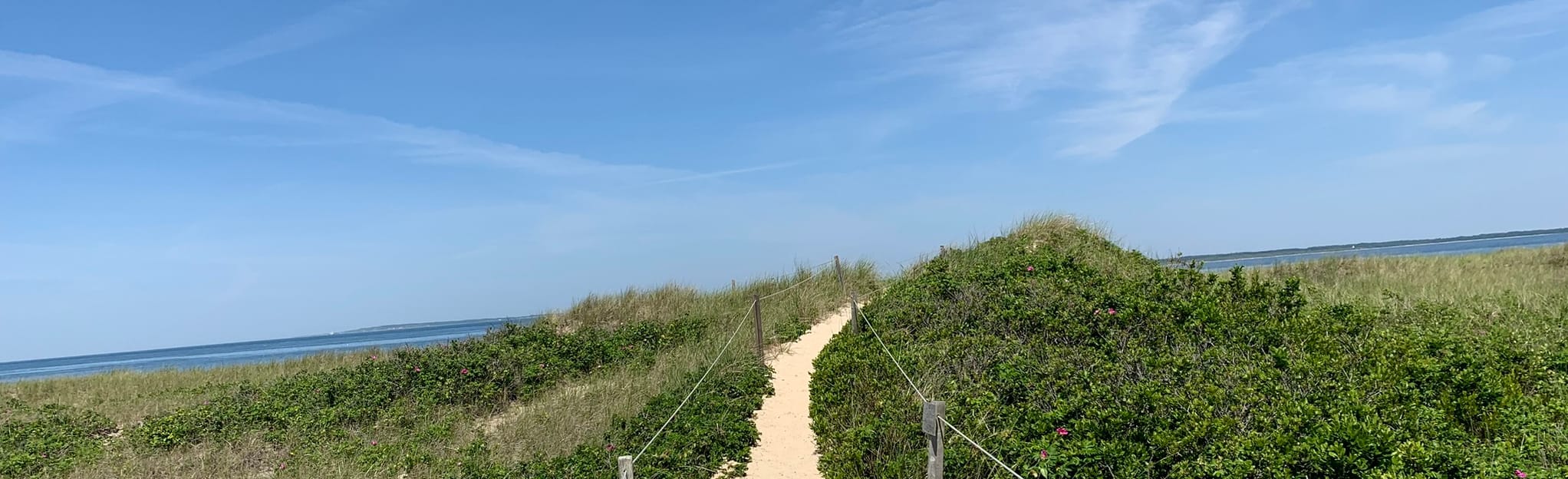 AllTrails | Cedar Tree Neck Trail: 126 Reviews, Map - Massachusetts