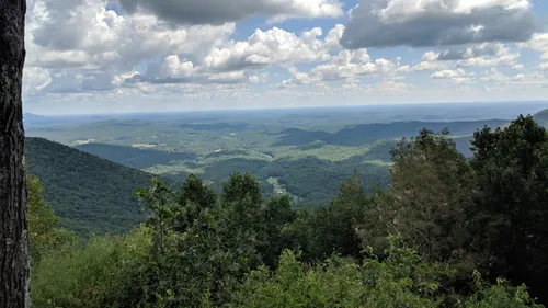 10 Best Hikes and Trails in Amicalola Falls State Park | AllTrails