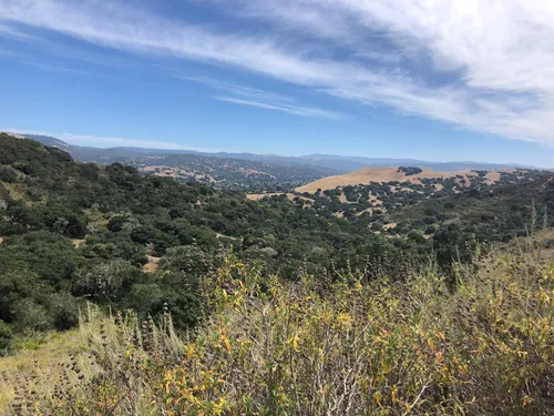 10 Best Hikes and Trails in Fort Ord National Monument  AllTrails