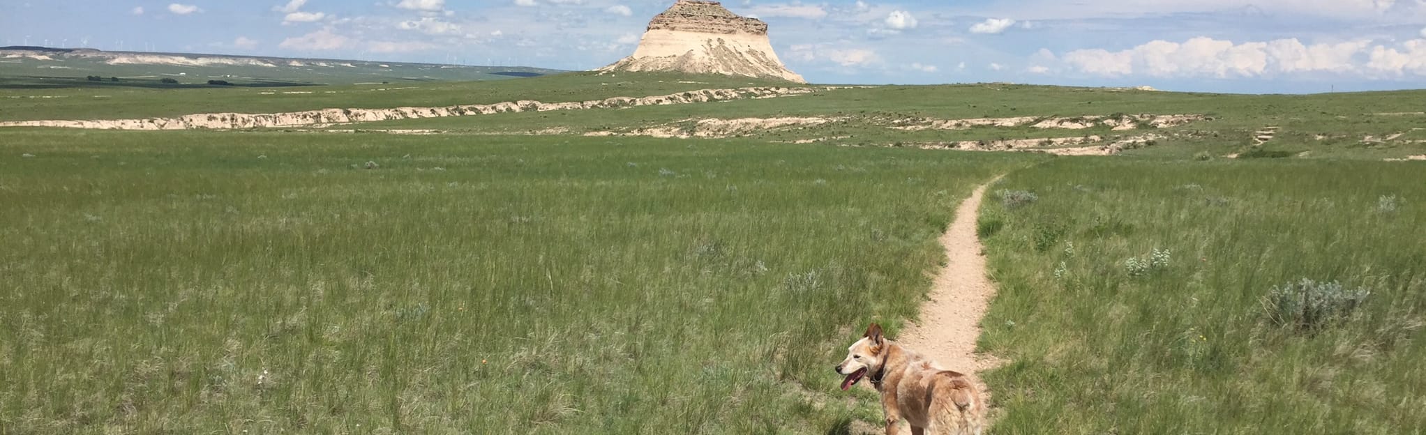 Pawnee Grasslands Scenic Drive Ault to Sterling 18 Reviews, Map