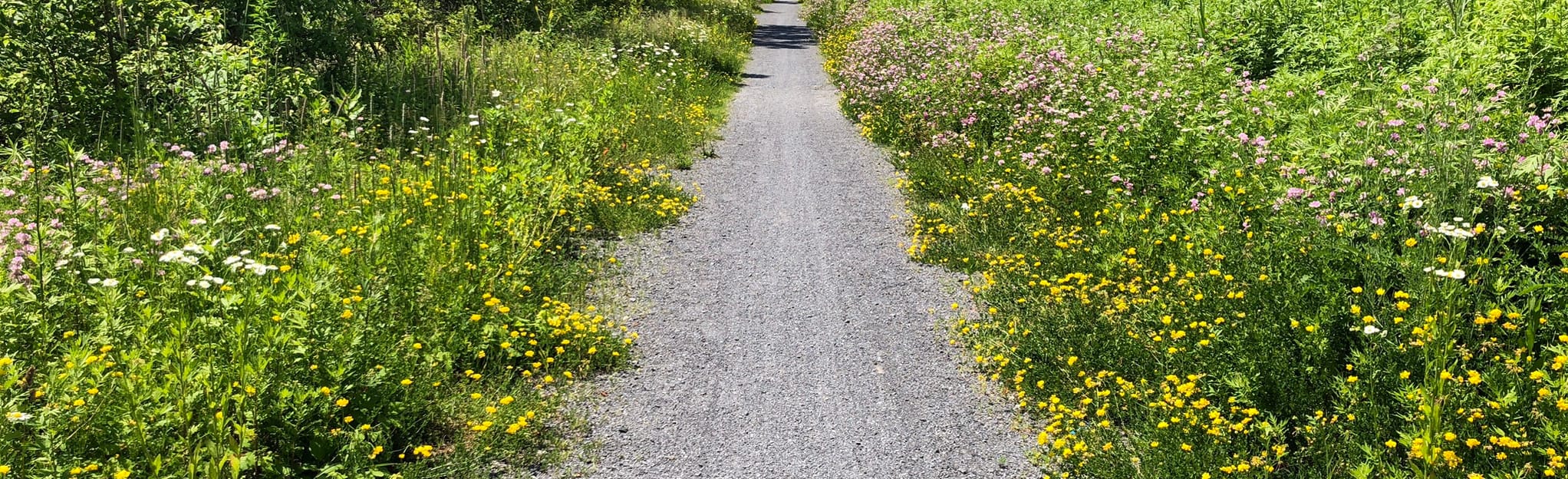 Erie Canalway Trail Camillus to Jordan, New York 87 Reviews, Map