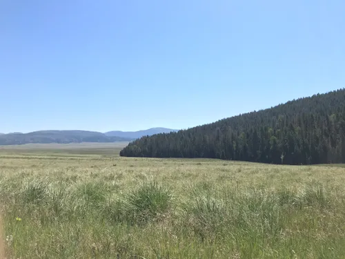 Best 10 Hikes and Trails in Valles Caldera National Preserve | AllTrails