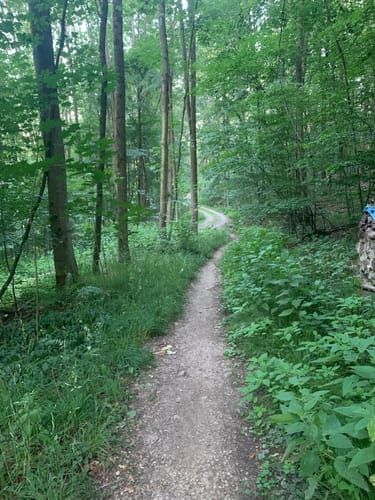 Keltenweg B