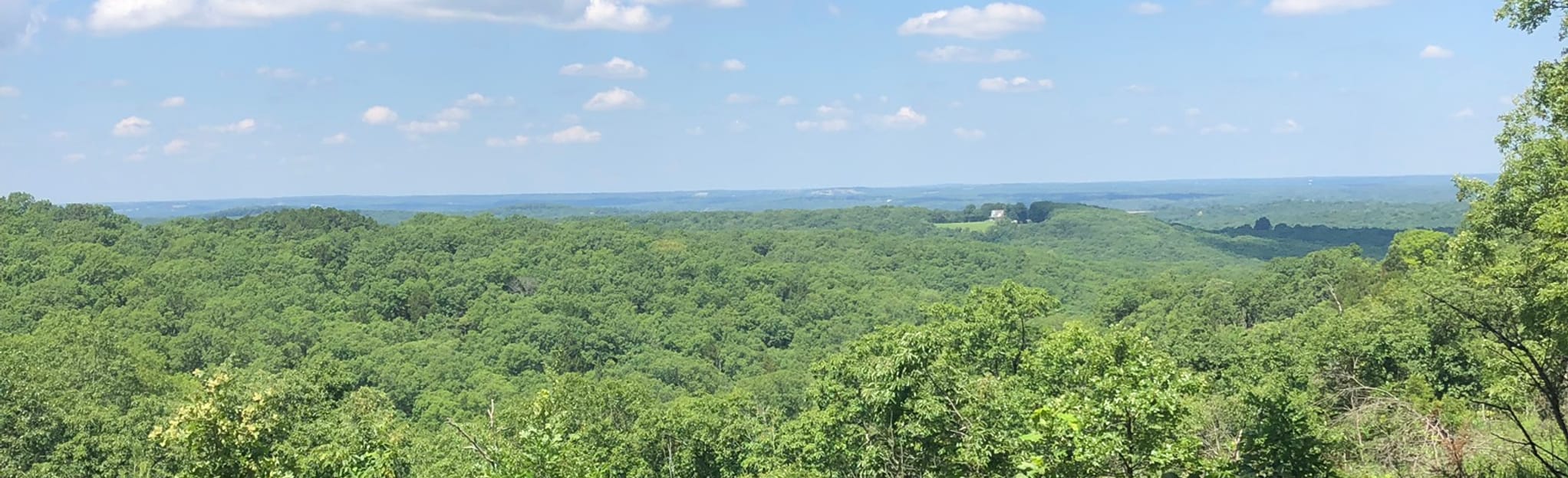 Spring Creek Gap Short Loop, Missouri 79 Reviews, Map AllTrails