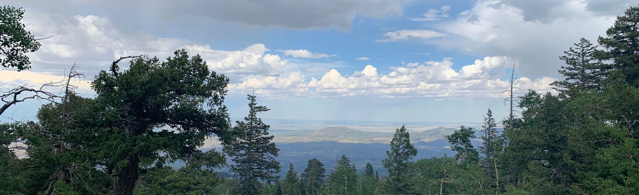 North Sandia Peak Trail: 520 Reviews, Map - New Mexico | AllTrails