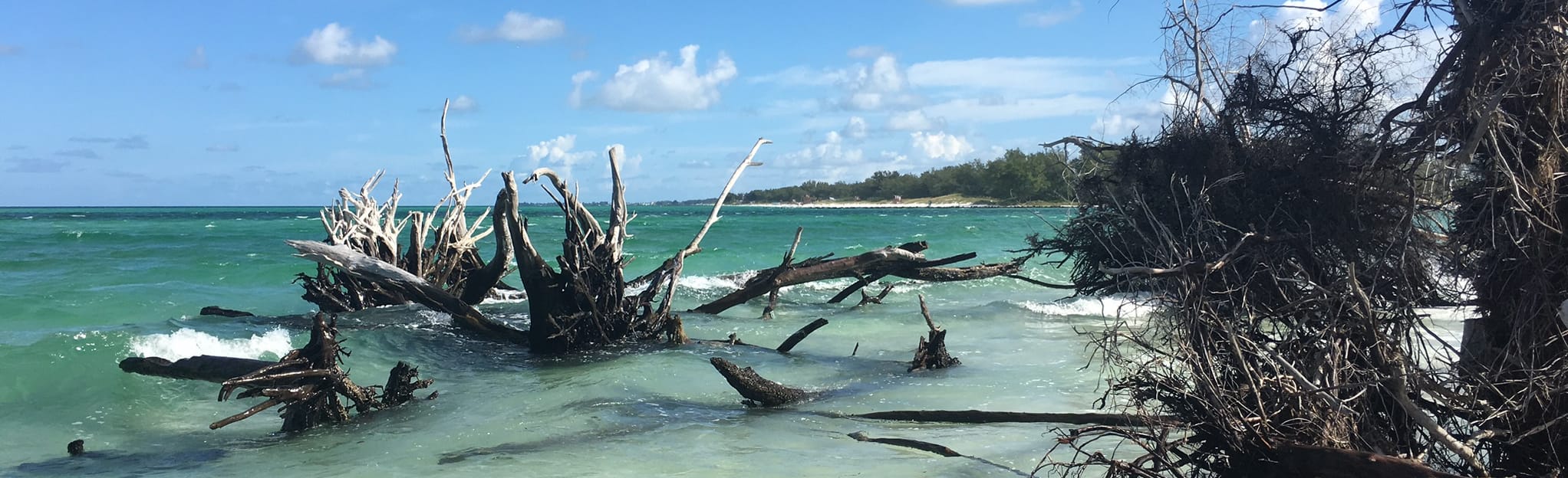 Beer Can Island, Florida 67 Reviews, Map AllTrails