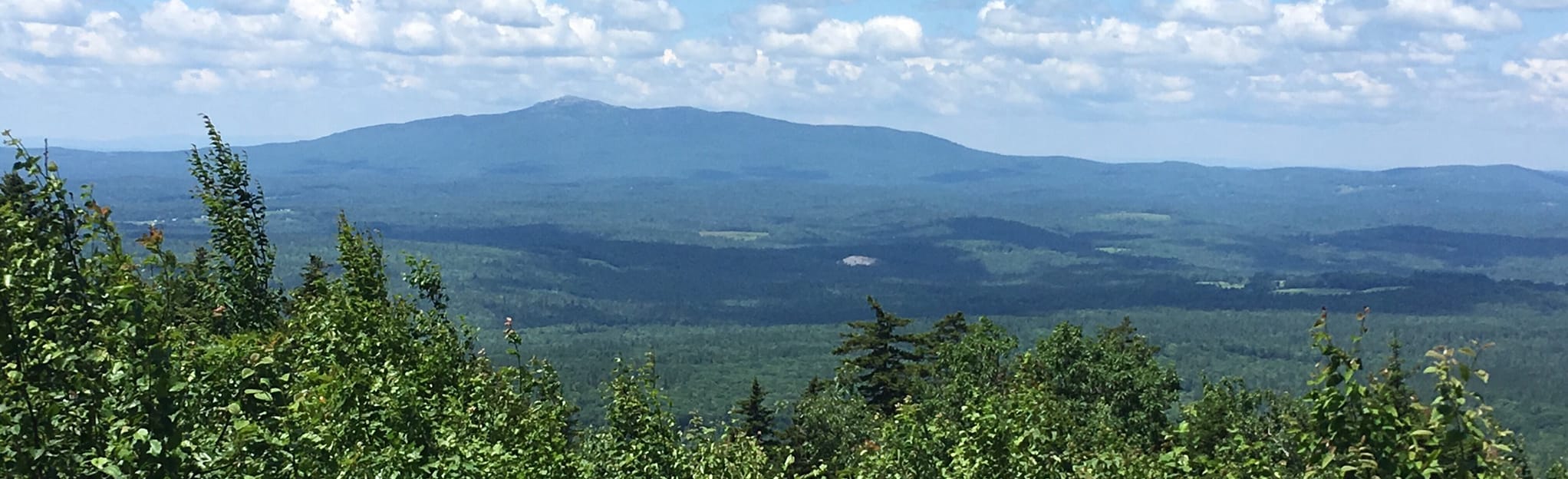 Wapack Trail Temple Mountain to Sharon, New Hampshire 38 Reviews