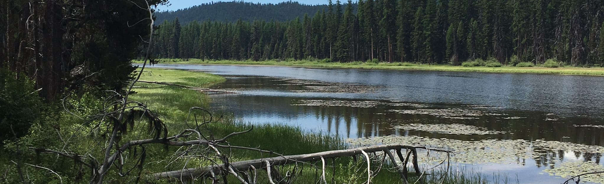 Boy Scout Bridge to Seeley Lake, Montana 36 Reviews, Map AllTrails