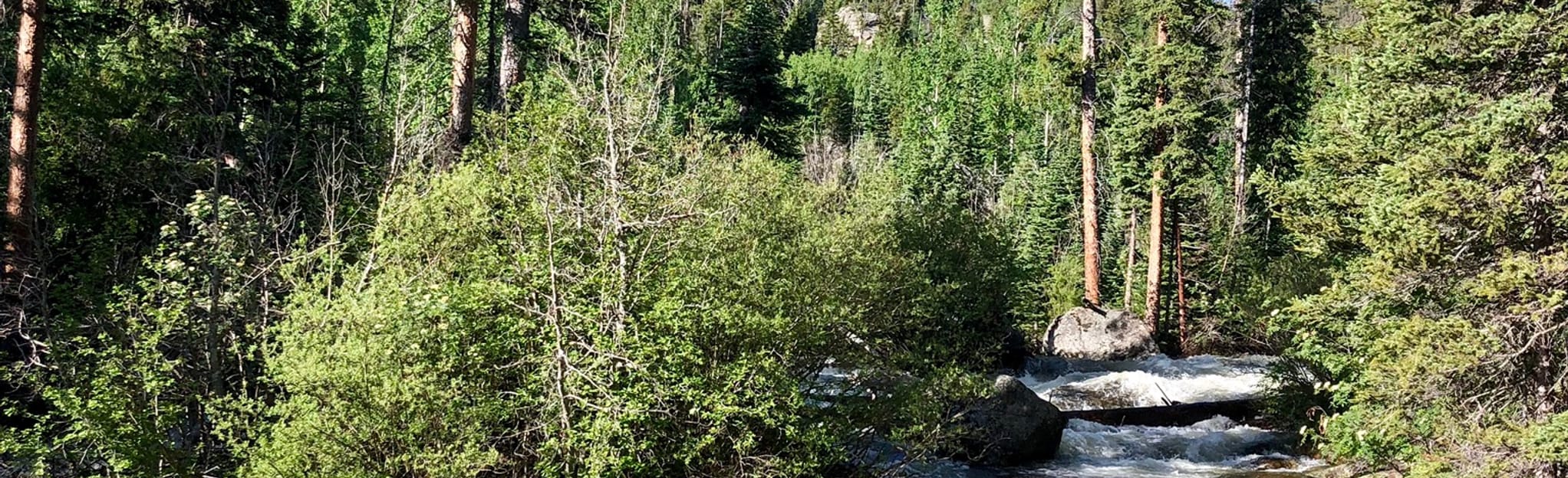 Calypso Cascades via Wild Basin Trailhead - Colorado | AllTrails