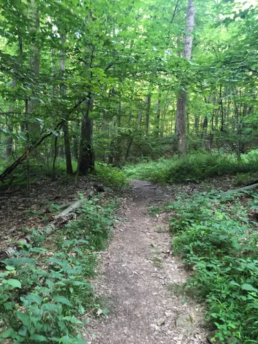 10 Best Hikes and Trails in Morristown National Historical Park | AllTrails