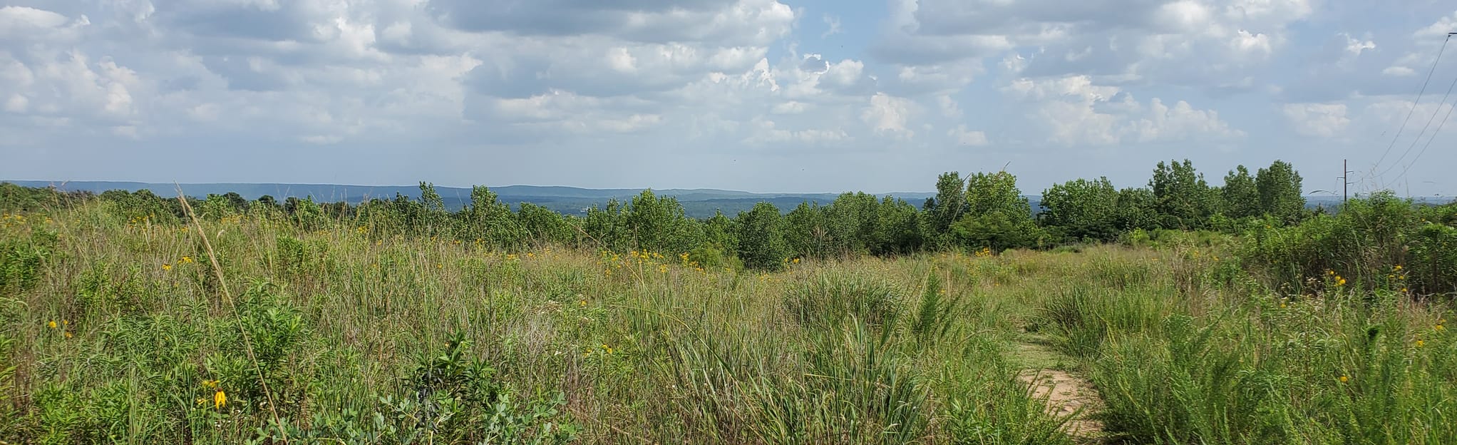 Moss Rock Preserve Power Line Trail Map, Guide Alabama AllTrails