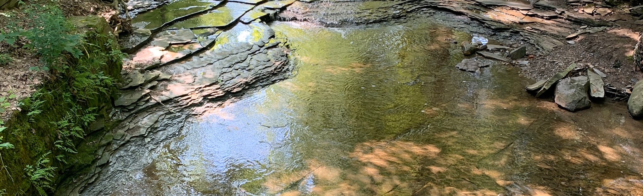 AllTrails Bridal Veil Falls Overlook 466 Reviews, Map Ohio