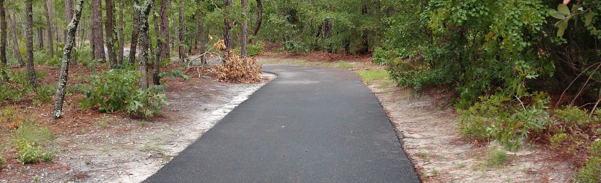 Veterans Park Loop 27 Reviews, Map North Carolina AllTrails