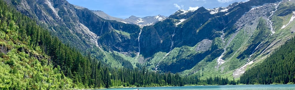 are dogs allowed in glacier national park