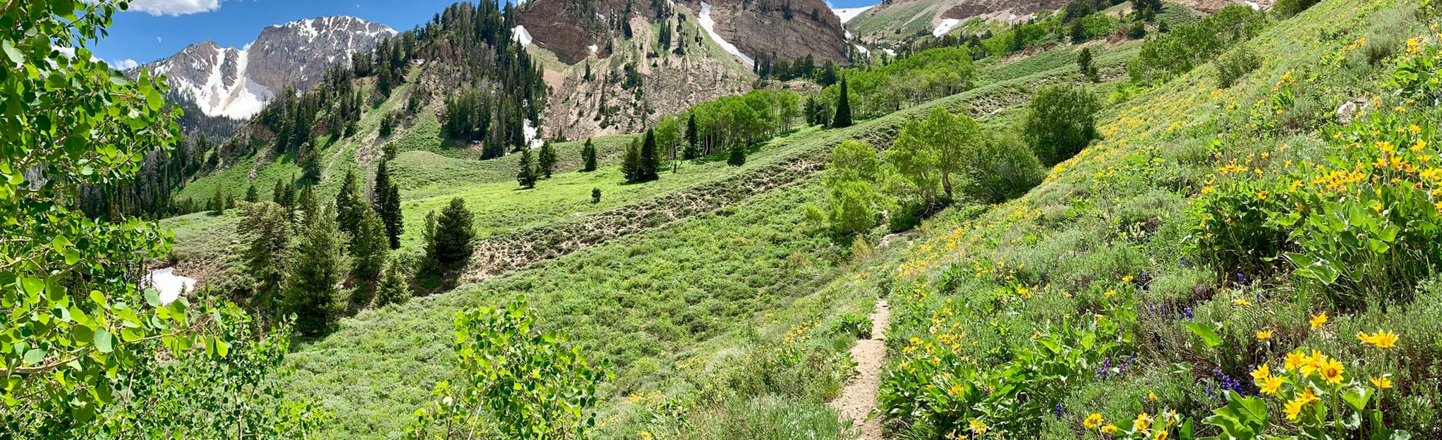 South Willow Lake via Stansbury Crest Trail, 455 Fotos Utah AllTrails