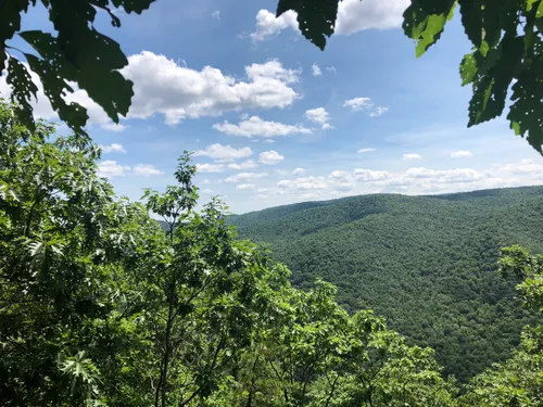 Mohawk trail clearance state forest camping