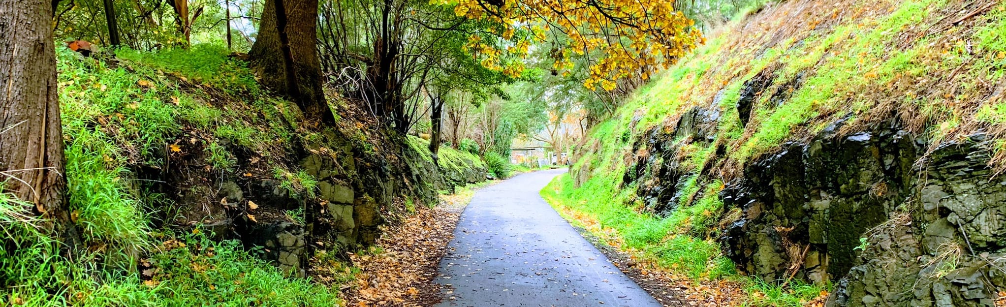 Yarra Junction to Starlings Gap Loop, Victoria, Australia 6 Reviews