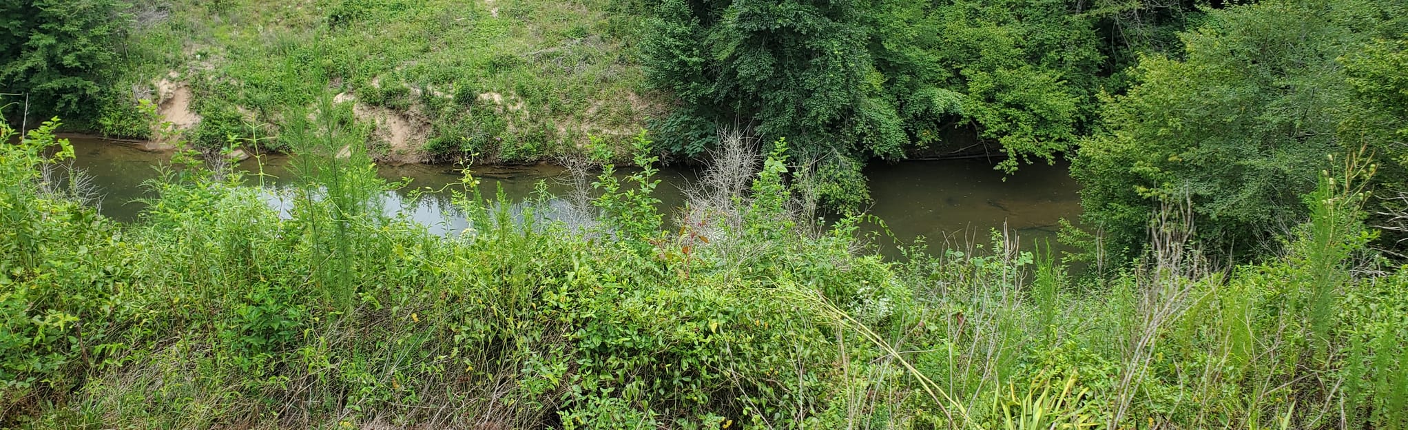 Hurricane Creek Eagle Scout Trail, Alabama 43 Reviews, Map AllTrails