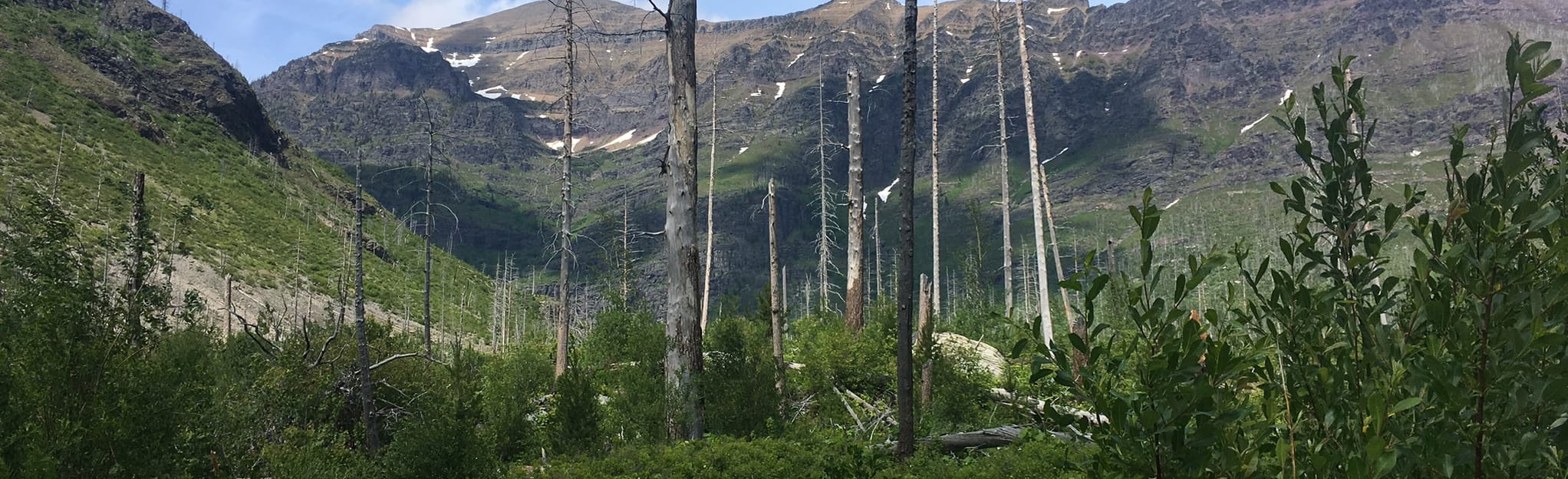 NyackCoal Creek Loop 8 Reviews, Map Montana AllTrails