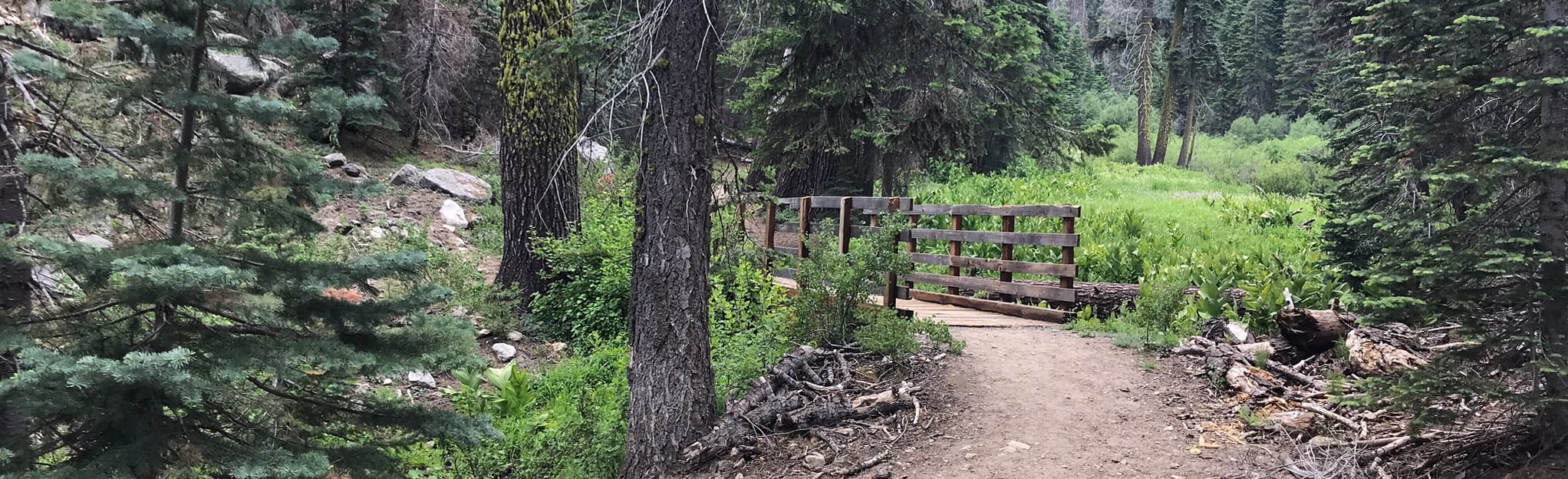 Freeman Creek Trail, California 185 Reviews, Map AllTrails