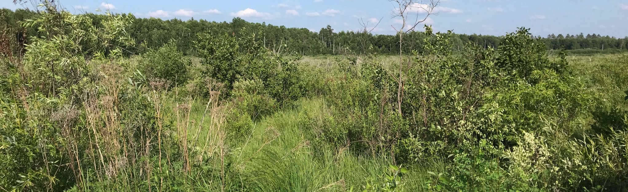 Mesabi Trail Grand Rapids to Nashwauk, Minnesota 19 Reviews, Map